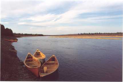 [Canoes on the St. John]
