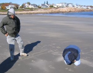 [tracking on the coast]