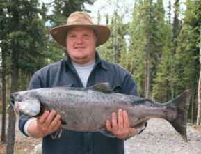 [king salmon]