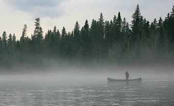 [Poling in the Mist]